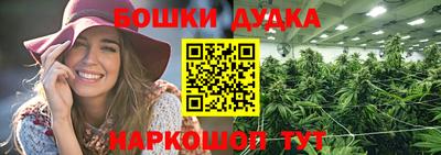 ешки Кингисепп