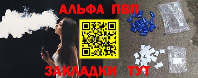ешки Кингисепп